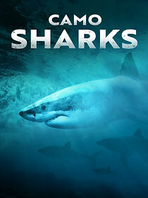 Watch Camo Sharks