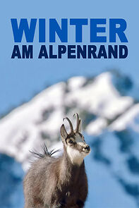 Watch Winter am Alpenrand