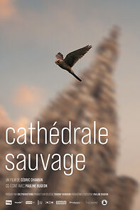 Watch Cathédrale sauvage
