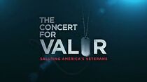 Watch The Concert for Valor (TV Special 2014)