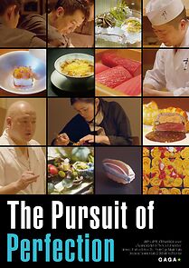 Watch The Pursuit of Perfection