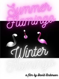 Watch Summer Flamingo Winter Flamingo (Short 2022)