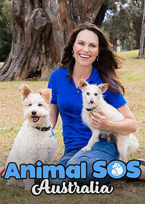 Watch Animal SOS Australia