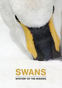 Watch Swans: Mystery of the Missing
