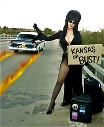 Watch The Elvira Show