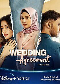 Watch Wedding Agreement: The Series