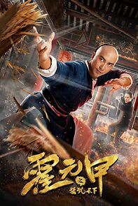 Watch The Grandmaster of Kungfu