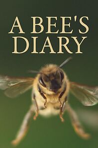Watch A Bee's Diary