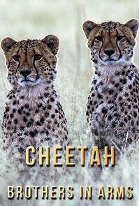 Watch Cheetah Brothers in Arms