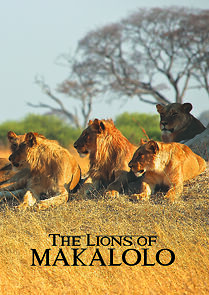Watch The Lions of Makalolo