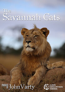 Watch Savannah Cats