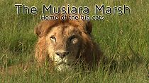 Watch The Musiara Marsh