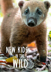 Watch New Kids in the Wild