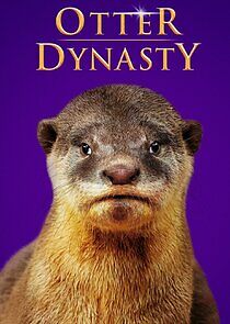 Watch Otter Dynasty