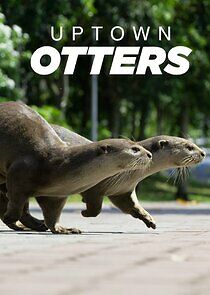 Watch Uptown Otters