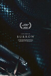 Watch Burrow (Short 2023)