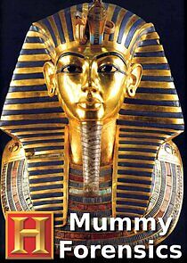 Watch Mummy Forensics
