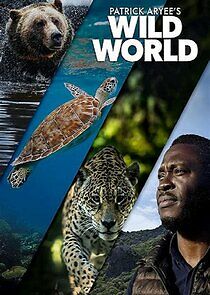 Watch Patrick Aryee's Wild World