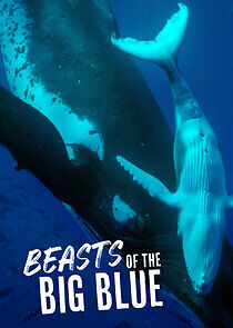 Watch Beasts of the Big Blue