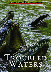 Watch Troubled Waters