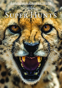 Watch Super Hunts, Super Hunters