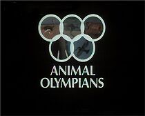 Watch Animal Olympians