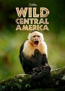 Watch Wild Central America
