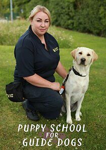 Watch Puppy School for Guide Dogs