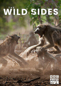 Watch The Wild Sides
