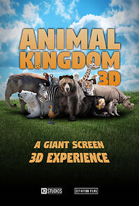 Watch Animal Kingdom