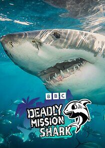 Watch Deadly Mission Shark