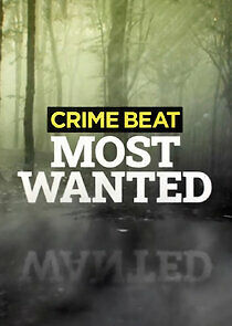 Watch Crime Beat: Most Wanted