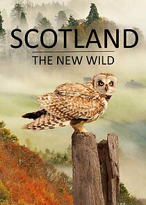Watch Scotland - The New Wild