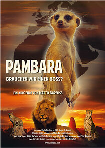 Watch Pambara - Brauchen wir einen Boss?