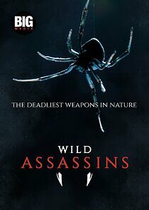 Watch Wild Assassins