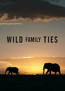 Watch Wild Family Ties