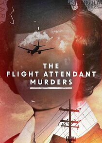 Watch The Flight Attendant Murders