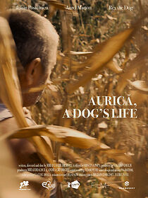 Watch Aurica, a dog's life (Short 2022)
