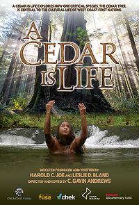 Watch A Cedar Is Life