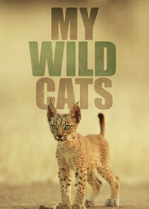 Watch My Wild Cats