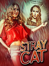 Watch Stray Cat