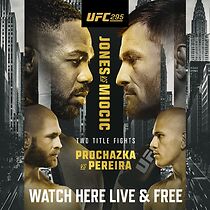 Watch UFC 295: Prochazka vs. Pereira (TV Special 2023)