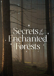 Watch Secrets of the Enchanted Forests