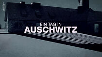 Watch Ein Tag in Auschwitz