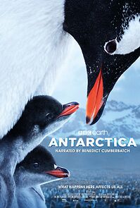 Watch Antarctica