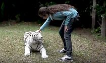 Watch Sam and the White Tiger (Short 2011)