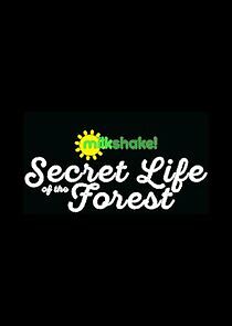 Watch Milkshake! Secret Life of the Forest