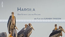 Watch Hargila - Der Storch und die Frauen