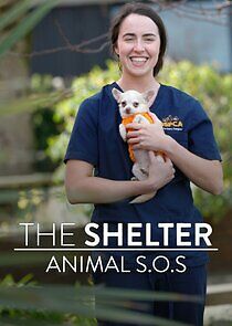 Watch The Shelter: Animal SOS