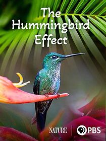 Watch The Hummingbird Effect (Short 2023)